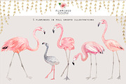 FLAMINGO PARADISE watercolor set, an Illustration by Natali Smolova (Thumbnail 7 of 11)