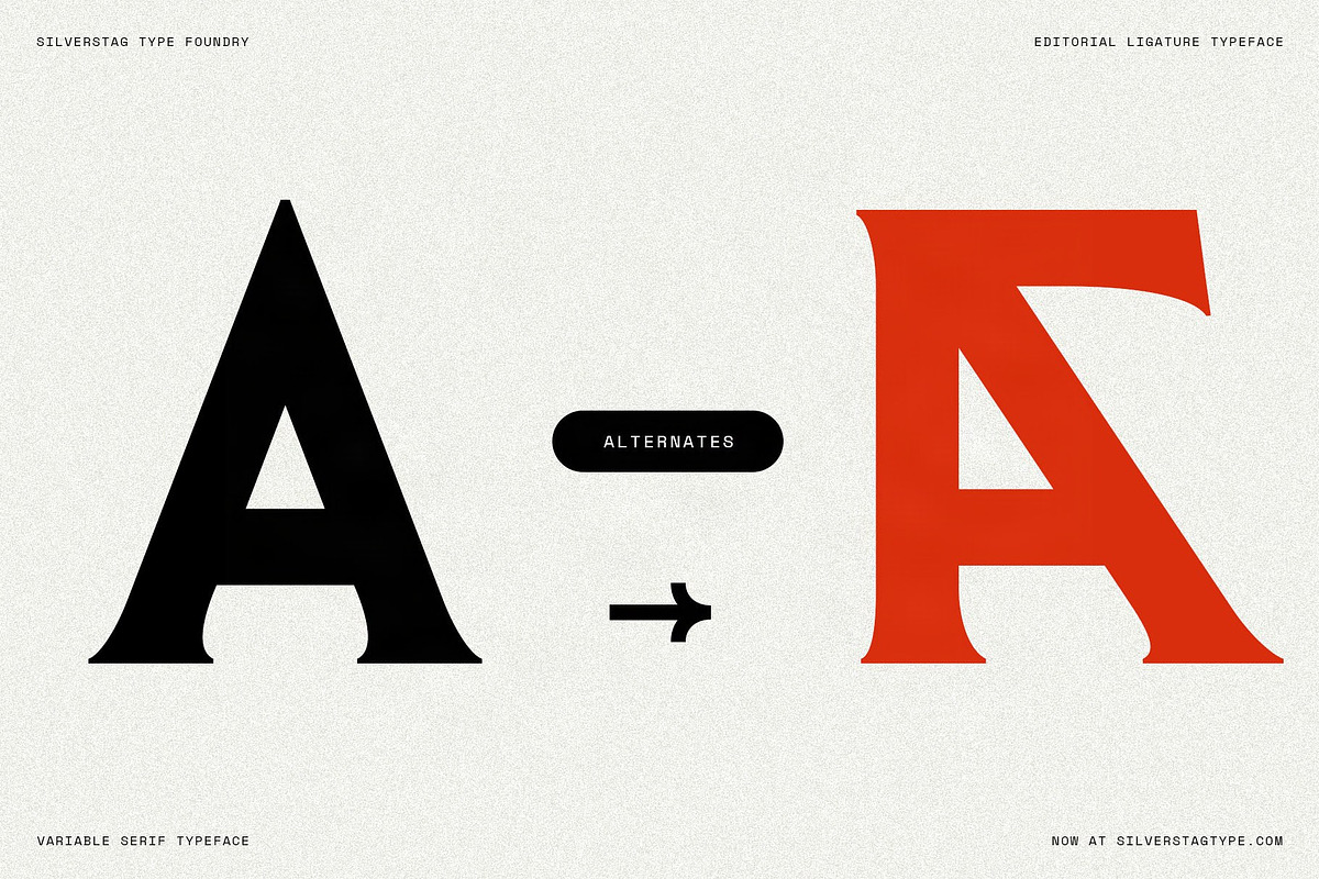 Arcilla — Variable Editorial Serif, a Serif Font by SilverStag Type Foundry (Photo 20 of 31)