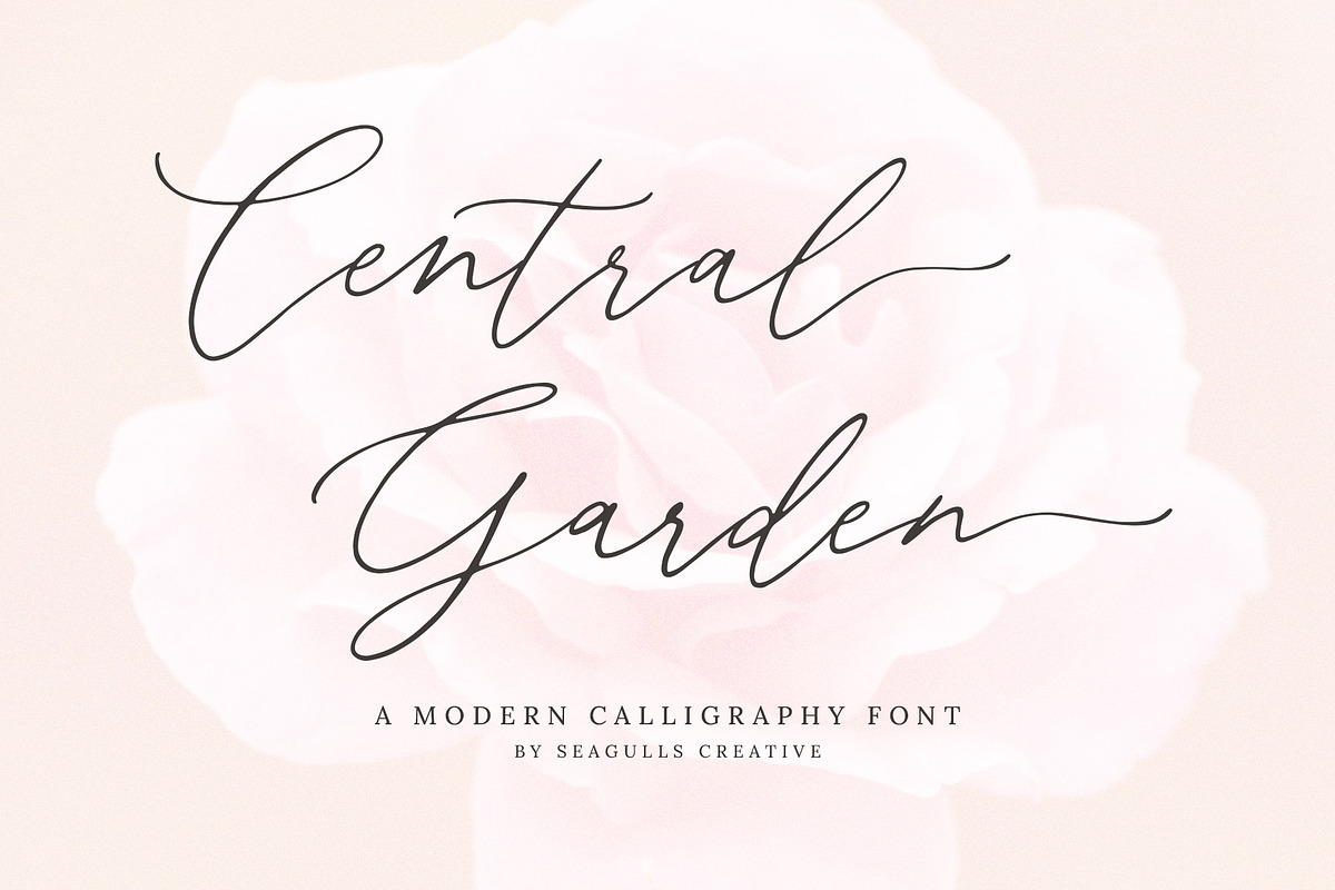 Central Garden Calligraphy Font, a Script Font by Seagulls Creative (Photo 1 of 10)