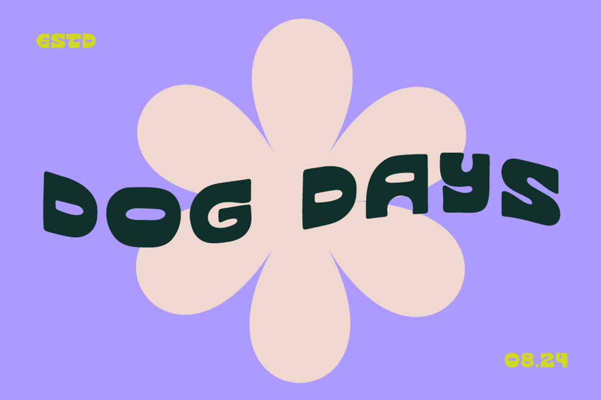 DOG DAYS by Meg Tay Creative, a Sans Serif Font by Meg Tay Creative (Photo 4 of 4)
