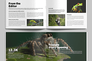Wildlife Photography Magazine, a Magazine Template by MightyDesign (Thumbnail 3 of 9)
