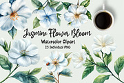 Jasmine Flower Bloom Clipart, an Illustration by OK Design (Thumbnail 1 of 5)