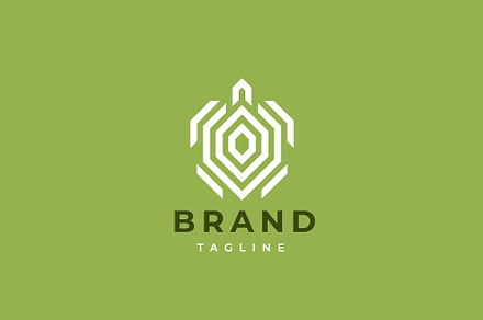 Turtle logo design.