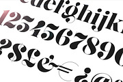 Gaze Pro, a Serif Font by Anthony James (Thumbnail 5 of 9)