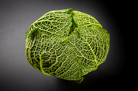 Savoy cabbage isolated on a black background, a Food & Drink Photo by GoodGoods
