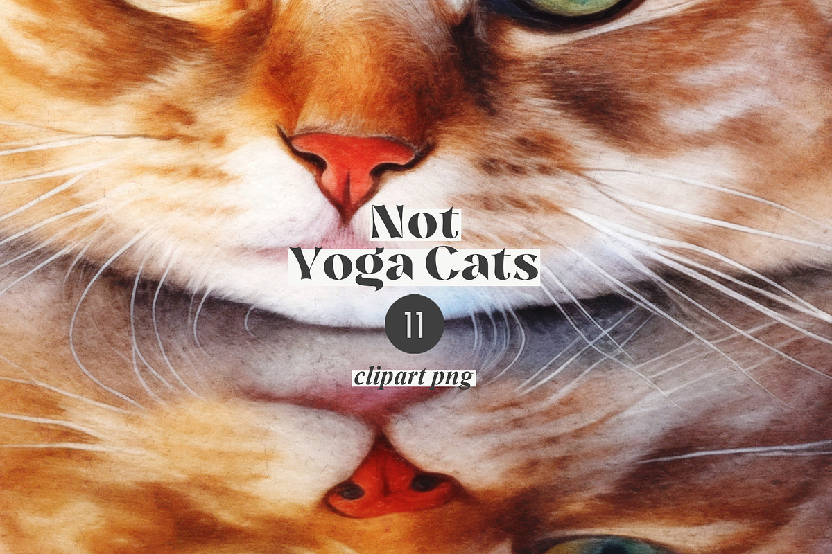Not Yoga Cats, an Animal Illustration by TheCuteShop (Photo 10 of 17)
