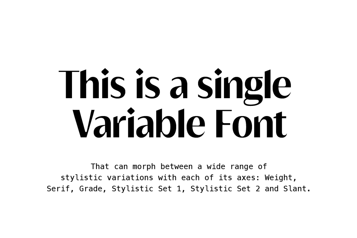 Griggs Variable Typeface, a Serif Font by Seniors (Photo 2 of 10)