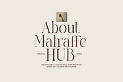 Clasina Elegant Serif Font, a Serif Font by Elegant Font (Thumbnail 2 of 8)
