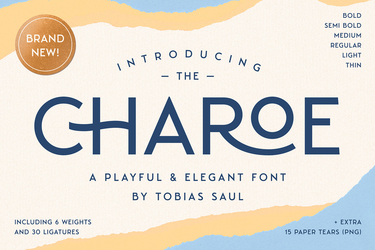 Charoe Typeface + Extras, a Font by Heritage Type Co. (Photo 1 of 17)