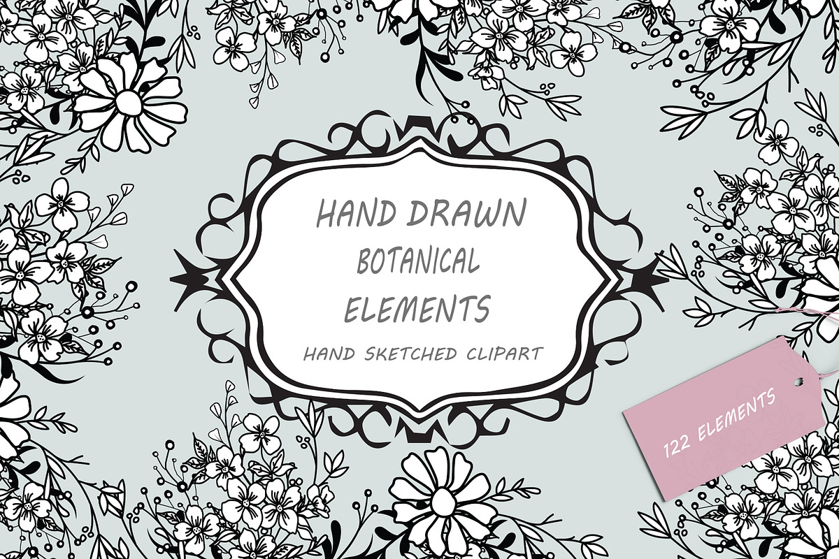 Hand Drawn Botanical Elements, a Decorative Illustration by Pixavics (Photo 1 of 11)