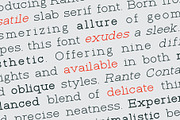 Rante Contact, a Slab Serif Font by takoliko (Thumbnail 2 of 12)