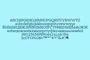 Sadina Slab, a Slab Serif Font by NumidiaType (Thumbnail 5 of 6)