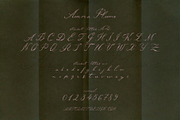 Aurora Plume | Luxury Wedding Font, a Script Font by nadispasibenko (Thumbnail 8 of 9)