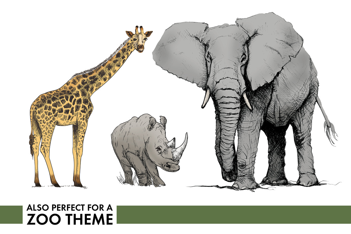 Safari Party Set, an Animal Illustration by Nancy Ingersoll (Photo 3 of 8)