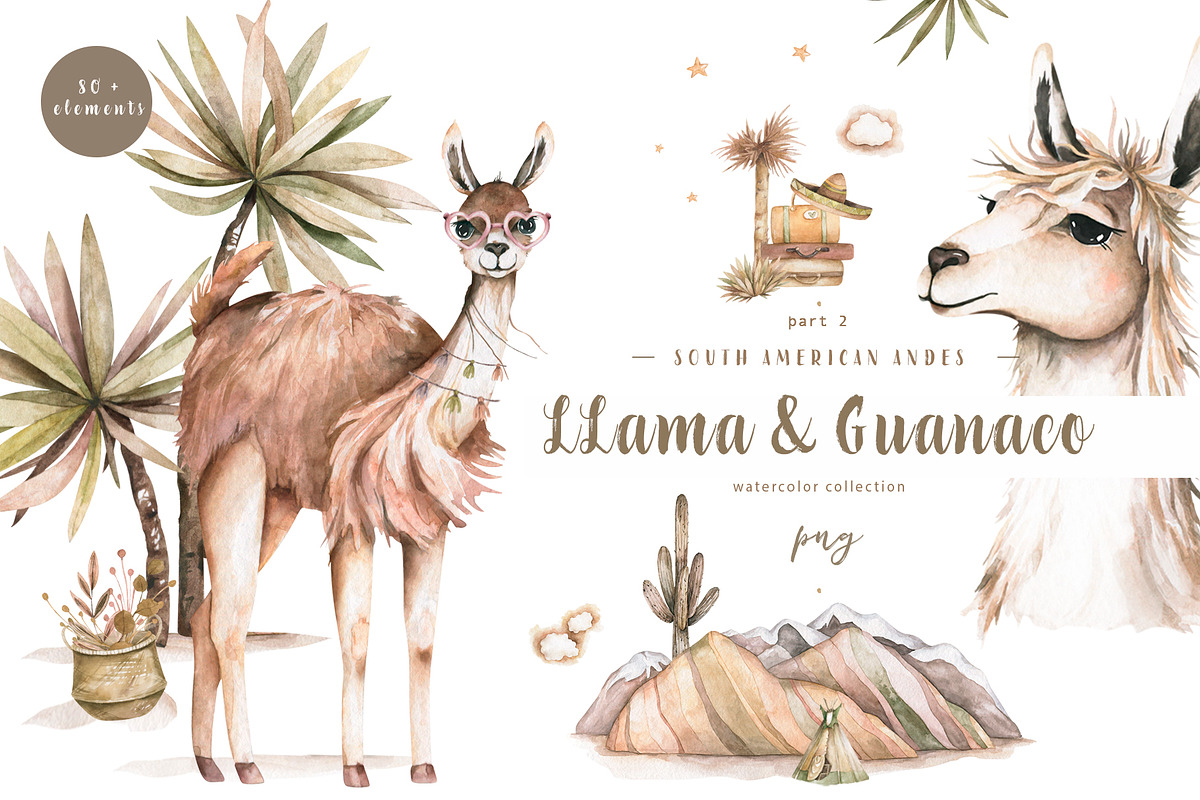 Cute Llama & Guanaco Watercolor Set, an Animal Illustration by Ann Art Houze (Photo 1 of 10)