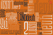 LANDdeuh (Layered font Family), a Serif Font by inumocca_type (Thumbnail 4 of 7)