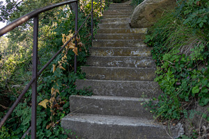 Concrete steps with metal railing leading upward through lush green foliage and, a Nature Photo by Ales Munt