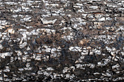 A close-up image of a texture tree, a Background Photo by Schreibikus (Thumbnail 1 of 10)