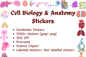 Biology & Anatomy goodnotes stickers, an Education Illustration by Noorist