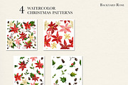 Watercolor Christmas Poinsettia, an Illustration by Backyard Rose (Thumbnail 9 of 11)