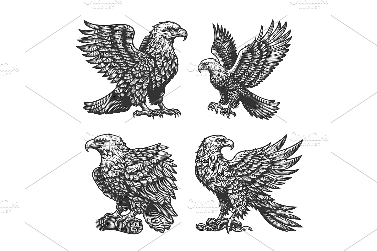 eagle engraving set vector, an Animal Illustration by AlexArt