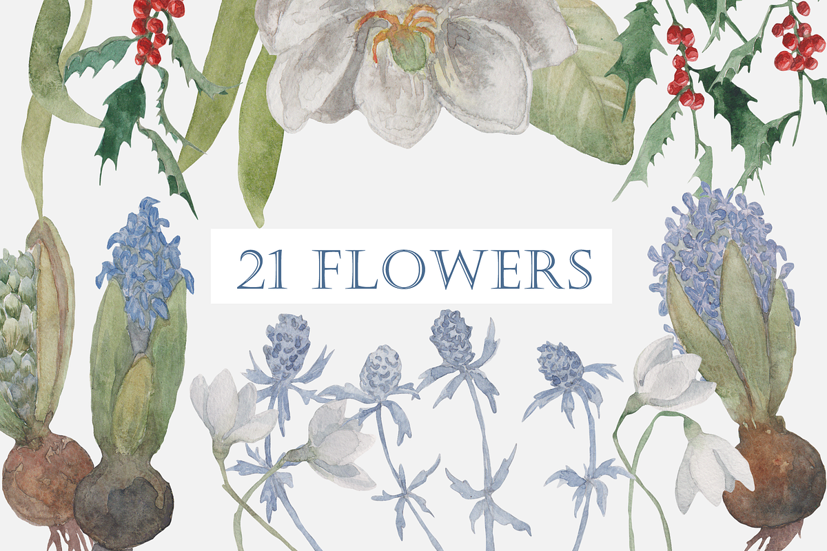 Winter Wildflowers, an Illustration by Elisa Ursa (Photo 2 of 7)
