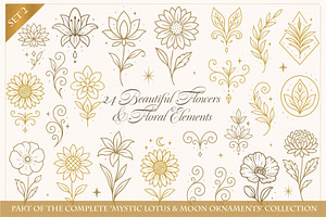 Botanical Floral Elements & Flowers
