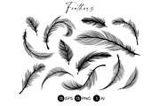 Black Feathers Stencil Boho Line Art, an Illustration by ilonitta (Thumbnail 1 of 6)