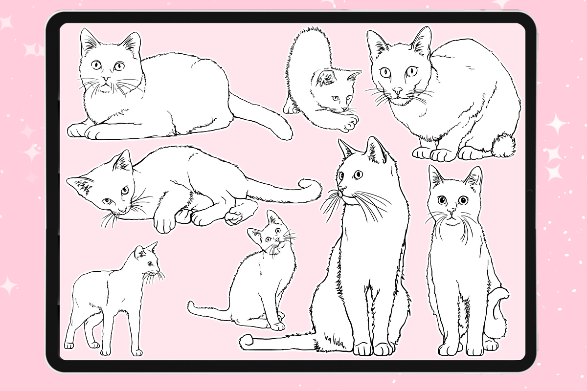 Procreate Cat animal brushes, a Brush Add-On by Revabrush