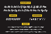 VENATOR Brush Font, a Script Font by Garisman Std (Thumbnail 4 of 9)