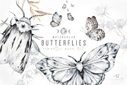 Watercolor butterflies Romantic set, an Animal Illustration by Ann Art Houze (Thumbnail 1 of 8)