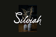 Romance Blossome Handwritten Font, a Handwritten Font by UICreative (Thumbnail 2 of 13)