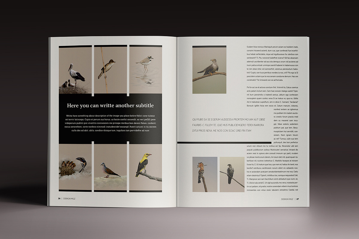 Design MGZ 8, a Magazine Template by Luuqas Design (Photo 14 of 16)