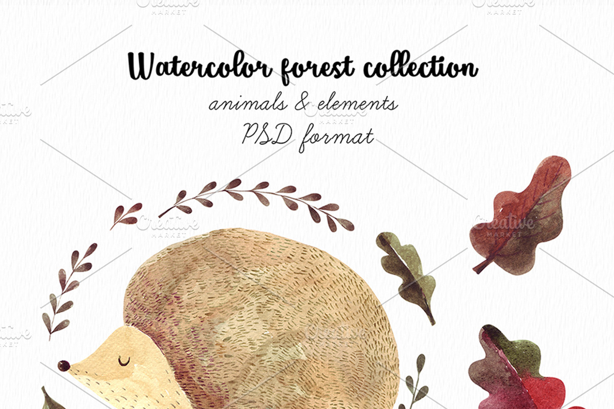 Watercolor autumn collection, an Animal Illustration by MoleskoStudio (Photo 2 of 10)