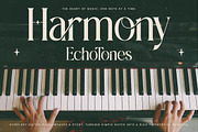 Eternalo Bold Luxury Modern Serif, a Serif Font by timelesstype.co (Thumbnail 14 of 20)