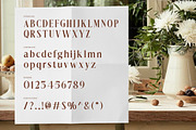 Dionara Luxury Elegant Serif Font, a Serif Font by Rasio Studio (Thumbnail 2 of 8)