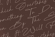 Radionte Heritage Monoline Signature, a Script Font by Letterena Studios Script (Thumbnail 7 of 15)