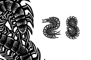 Centipede Poisonous Tattoo Designs