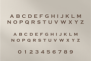 Sanir Retro Serif Font, a Serif Font by Creative Foundry (Thumbnail 6 of 8)