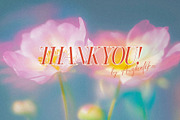 Mystic Haze: Floral Blur Backgrounds, a Background Graphic by Anzhelika (Thumbnail 12 of 12)