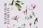 Magnolia & Eucalyptus. Watercolor, an Object Illustration by Colden Blue (Thumbnail 12 of 15)
