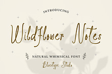 Wildflower Notes - Whimsical Fonts