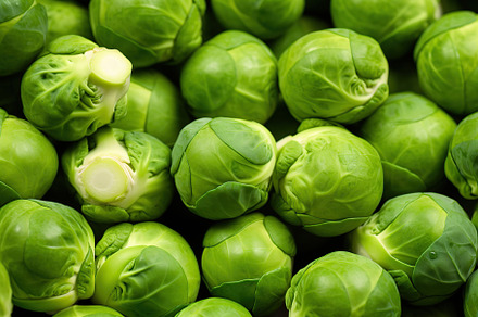 Fresh brussels sprouts background, a Food & Drink Photo by AlyaAnd