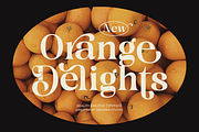 Reality Breathe - Modern Serif, a Serif Font by Shakira Studio (Thumbnail 4 of 10)