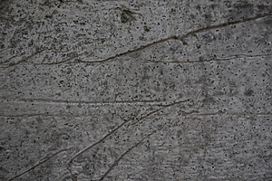 Grunge grey concrete background