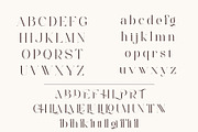 Chalia - Modern Stylish Serif Font, a Serif Font by Aqeel_Art (Thumbnail 11 of 13)