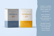 Charoe Typeface + Extras, a Font by Heritage Type Co. (Thumbnail 9 of 17)
