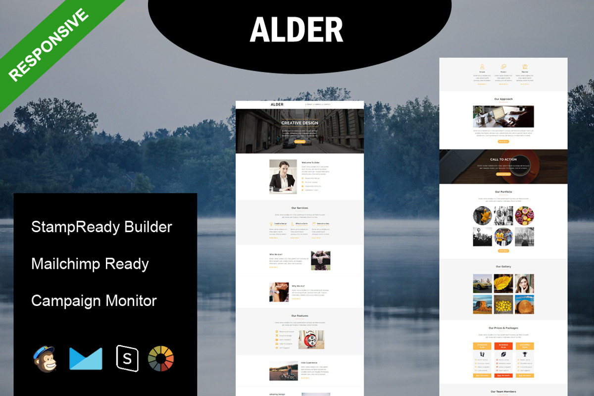ALDER - Responsive Email Template, an Email Template by FourDinos (Photo 1 of 3)