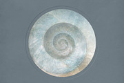 Nacre Pearlescent Backgrounds, a Background Graphic by alonahaidash (Thumbnail 13 of 13)