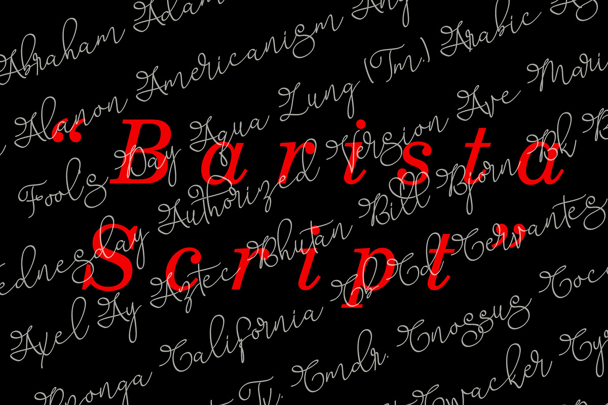 Barista Script preview 3